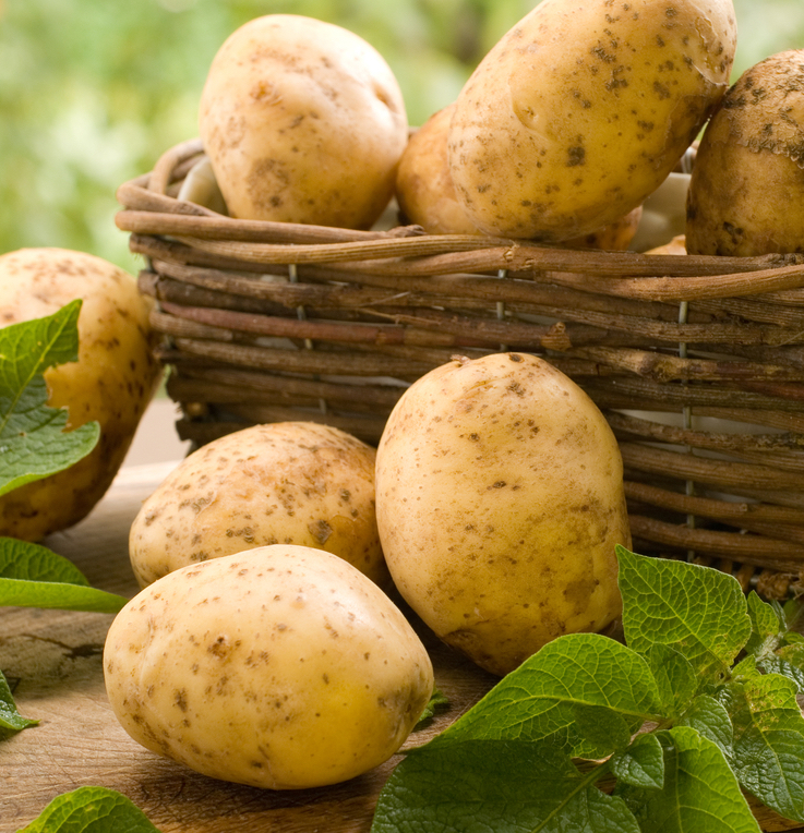 Reasons Why You Should Eat More Potatoes